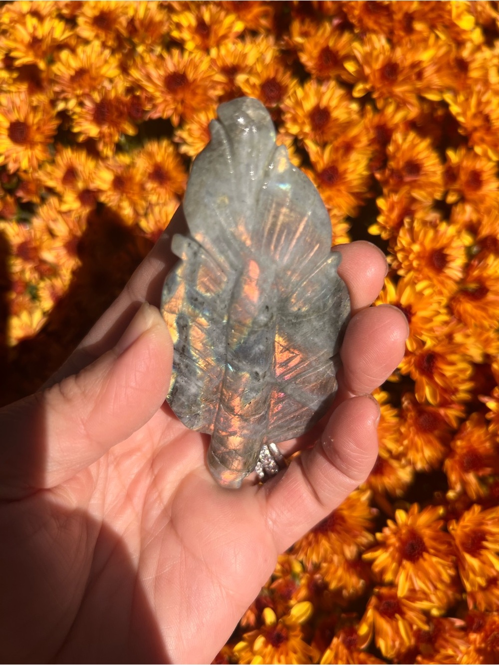 Labradorite (1) feather with stand | Crystal